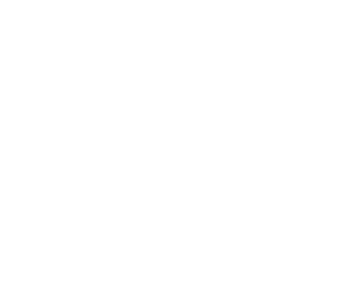 SAPP International